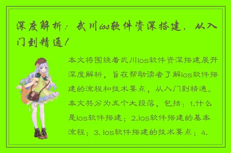 深度解析：武川ios软件资深搭建，从入门到精通！