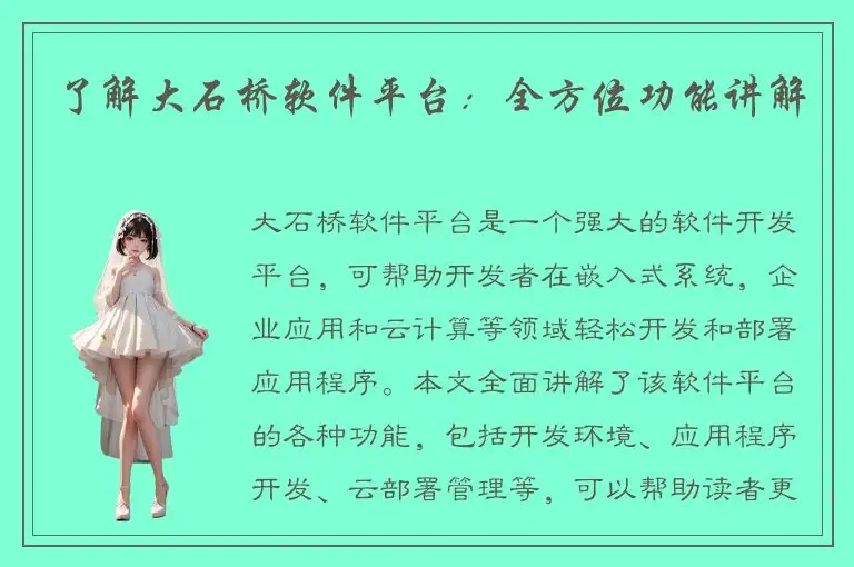 了解大石桥软件平台：全方位功能讲解