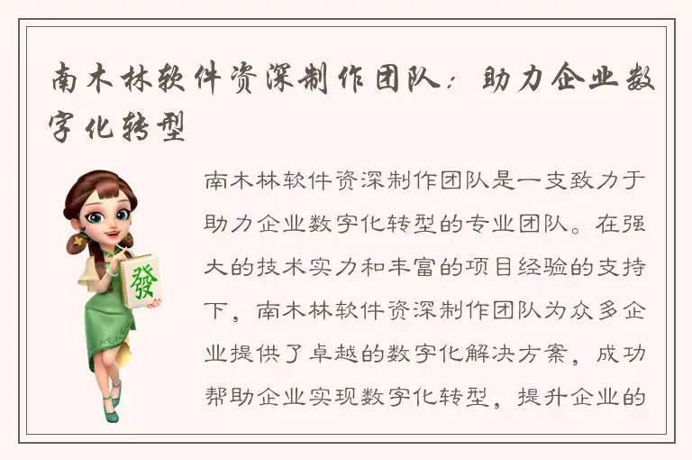 南木林软件资深制作团队：助力企业数字化转型