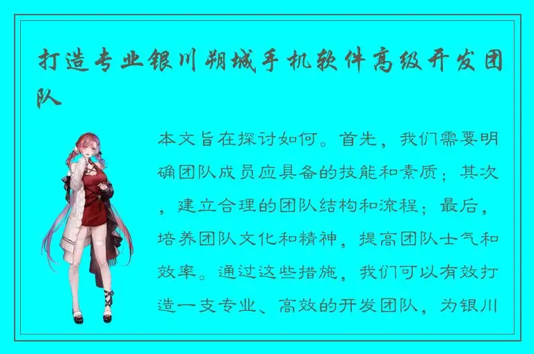 打造专业银川朔城手机软件高级开发团队