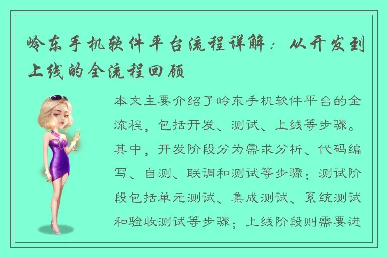 岭东手机软件平台流程详解：从开发到上线的全流程回顾