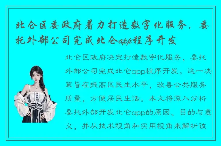 北仑区委政府着力打造数字化服务，委托外部公司完成北仑app程序开发