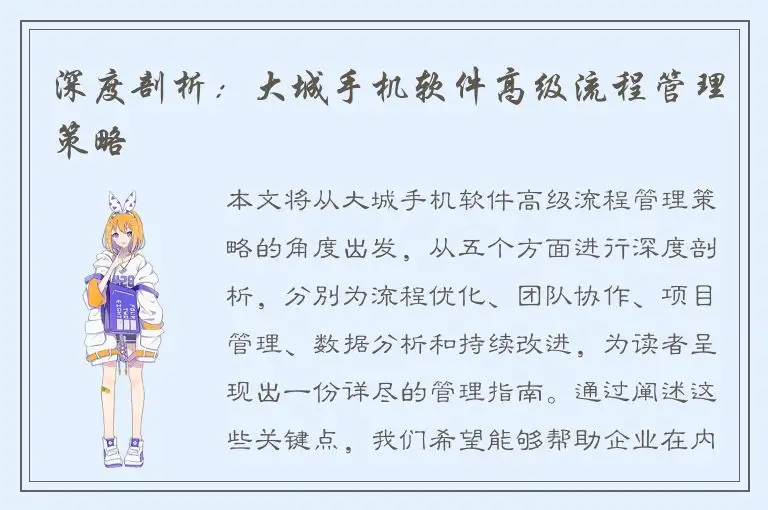 深度剖析：大城手机软件高级流程管理策略