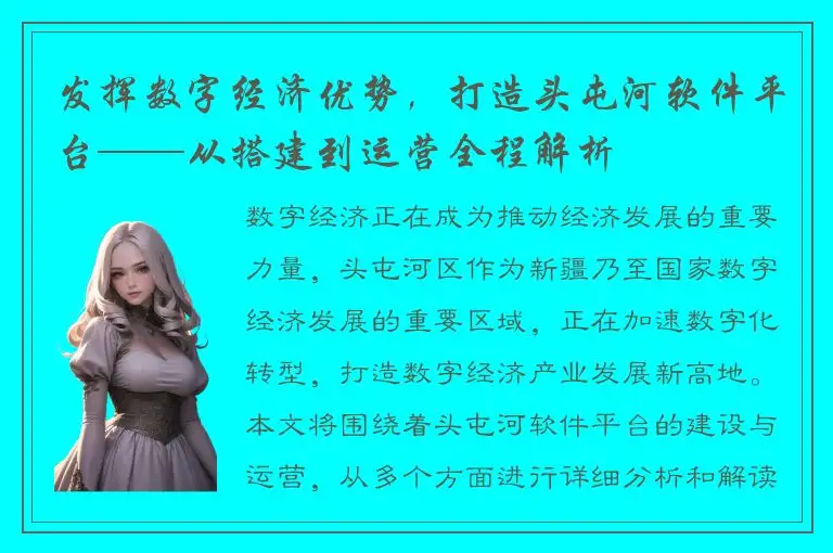 发挥数字经济优势，打造头屯河软件平台——从搭建到运营全程解析