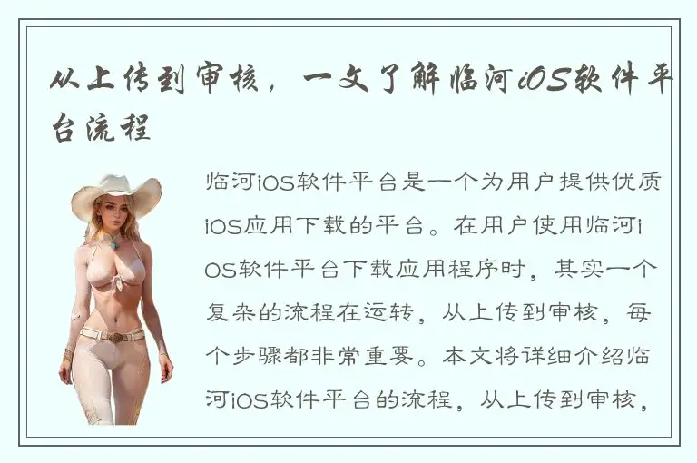 从上传到审核，一文了解临河iOS软件平台流程