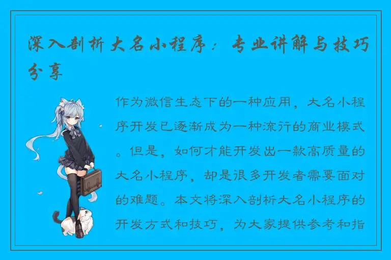 深入剖析大名小程序：专业讲解与技巧分享