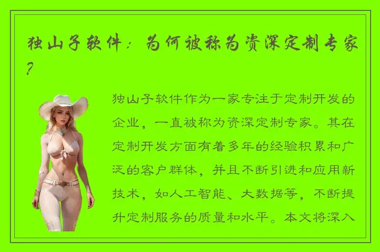 独山子软件：为何被称为资深定制专家？