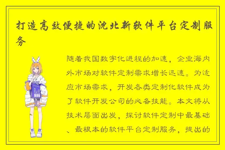 打造高效便捷的沈北新软件平台定制服务