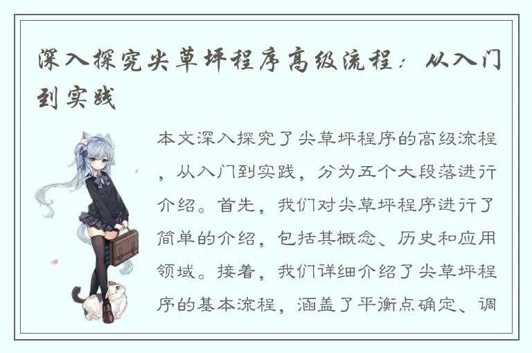 深入探究尖草坪程序高级流程：从入门到实践