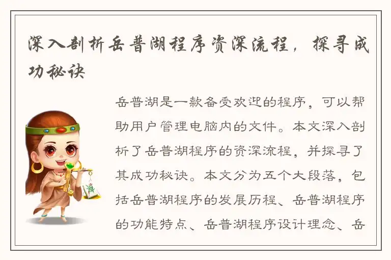 深入剖析岳普湖程序资深流程，探寻成功秘诀