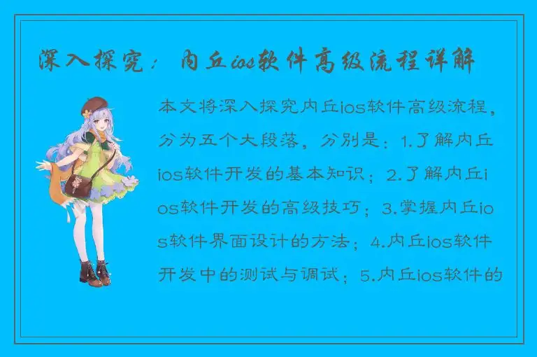 深入探究：内丘ios软件高级流程详解