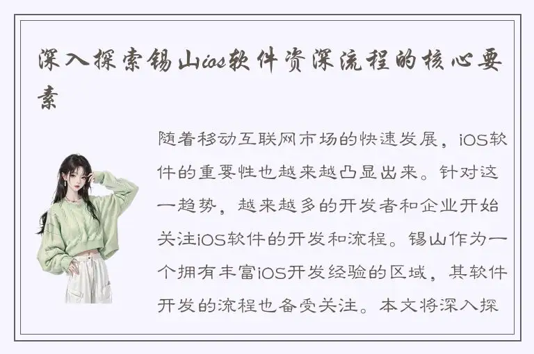 深入探索锡山ios软件资深流程的核心要素