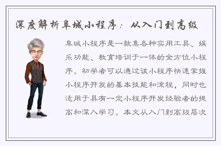深度解析阜城小程序：从入门到高级