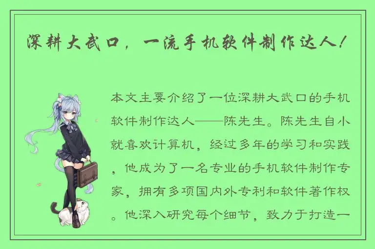 深耕大武口，一流手机软件制作达人！