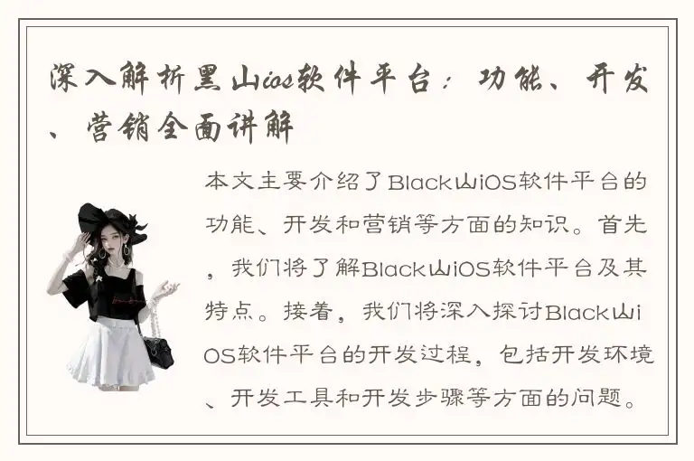 深入解析黑山ios软件平台：功能、开发、营销全面讲解