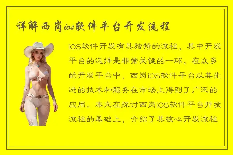 详解西岗ios软件平台开发流程