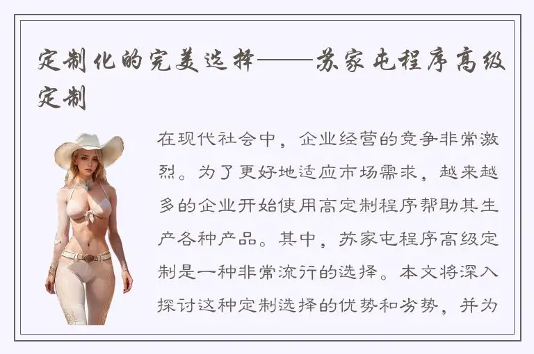 定制化的完美选择——苏家屯程序高级定制