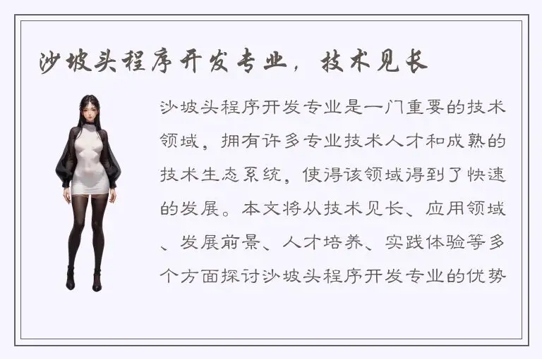 沙坡头程序开发专业，技术见长