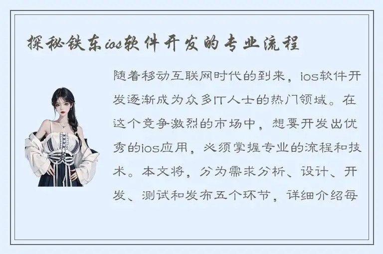 探秘铁东ios软件开发的专业流程