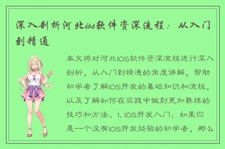 深入剖析河北ios软件资深流程：从入门到精通