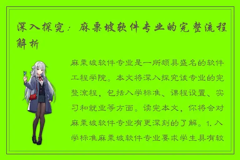 深入探究：麻栗坡软件专业的完整流程解析