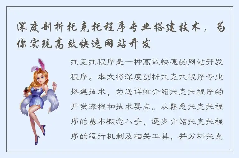 深度剖析托克托程序专业搭建技术，为你实现高效快速网站开发
