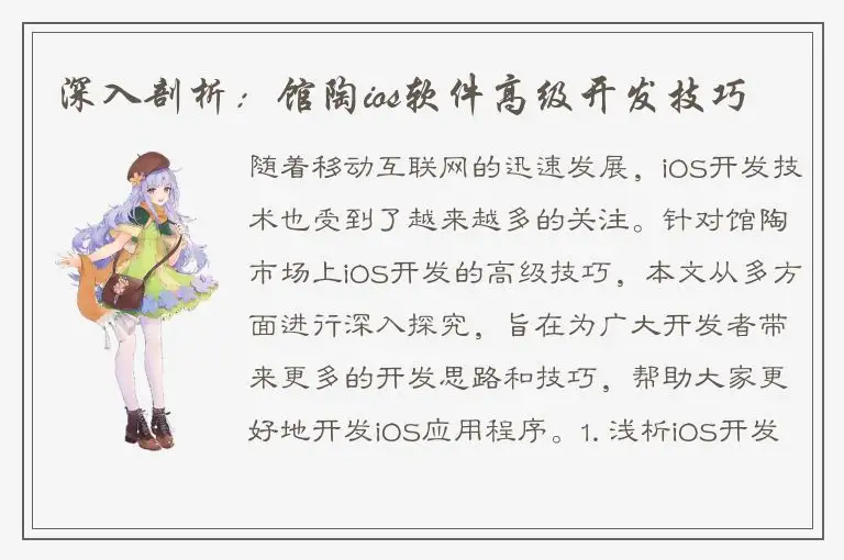 深入剖析：馆陶ios软件高级开发技巧