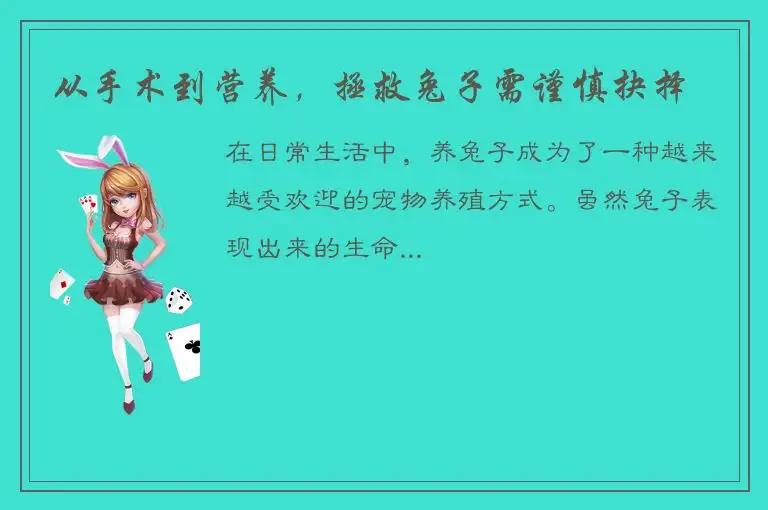 从手术到营养，拯救兔子需谨慎抉择