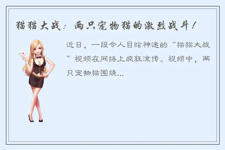 猫猫大战：两只宠物猫的激烈战斗！
